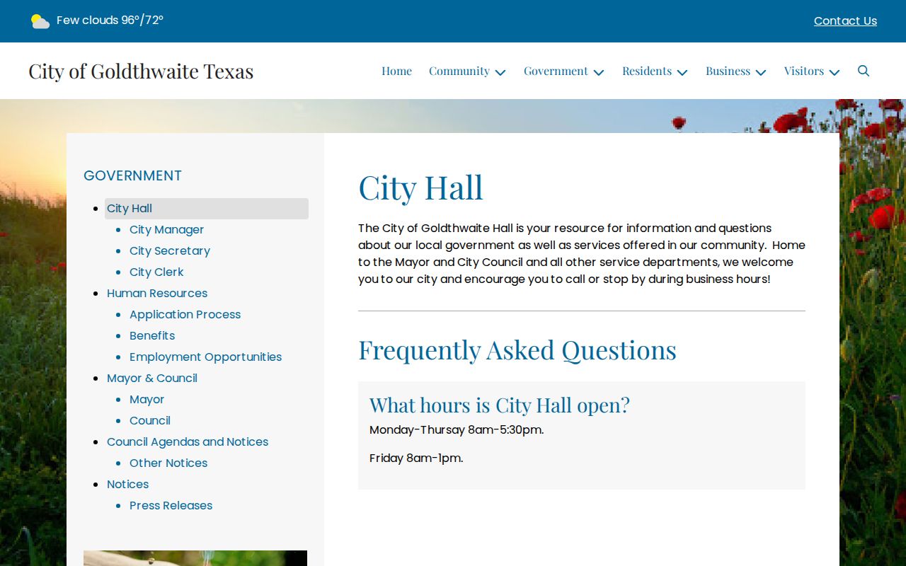 Goldthwaite court records source on the official City Hall page